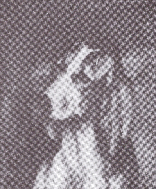 Le chien Calypso, d'après Jadin - Tiré de l'ouvrage Deux Siècles de Vènerie à travers la France - H. Tremblot de la Croix et B. Tollu (1988)